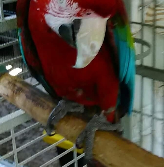 Meet your Posher, Jason - Picture 1 of 1